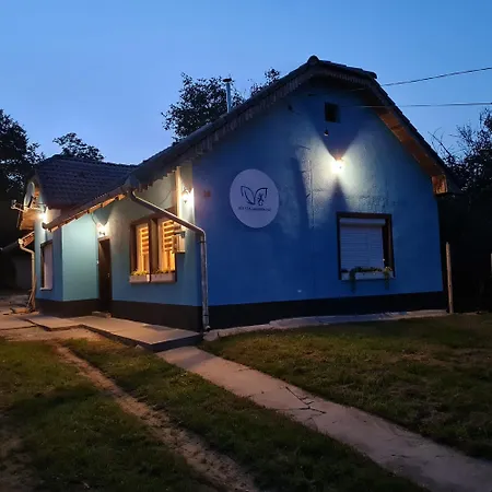 Het Blauwe Salamander Casa vacanze Kekesd