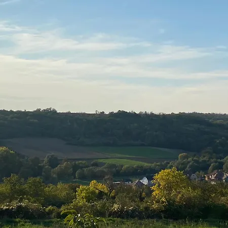 Het Blauwe Salamander Kekesd