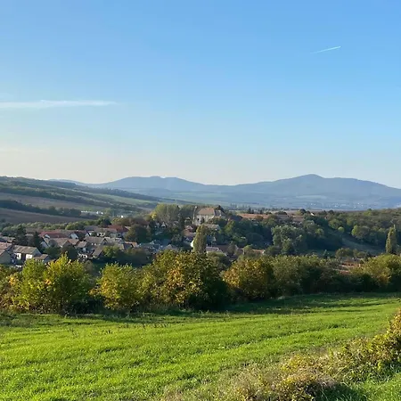 Casa vacanze Het Blauwe Salamander *