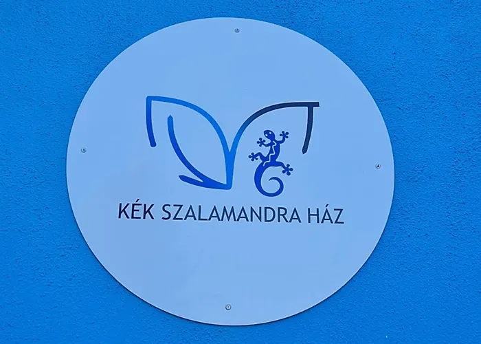 Het Blauwe Salamander * Kekesd